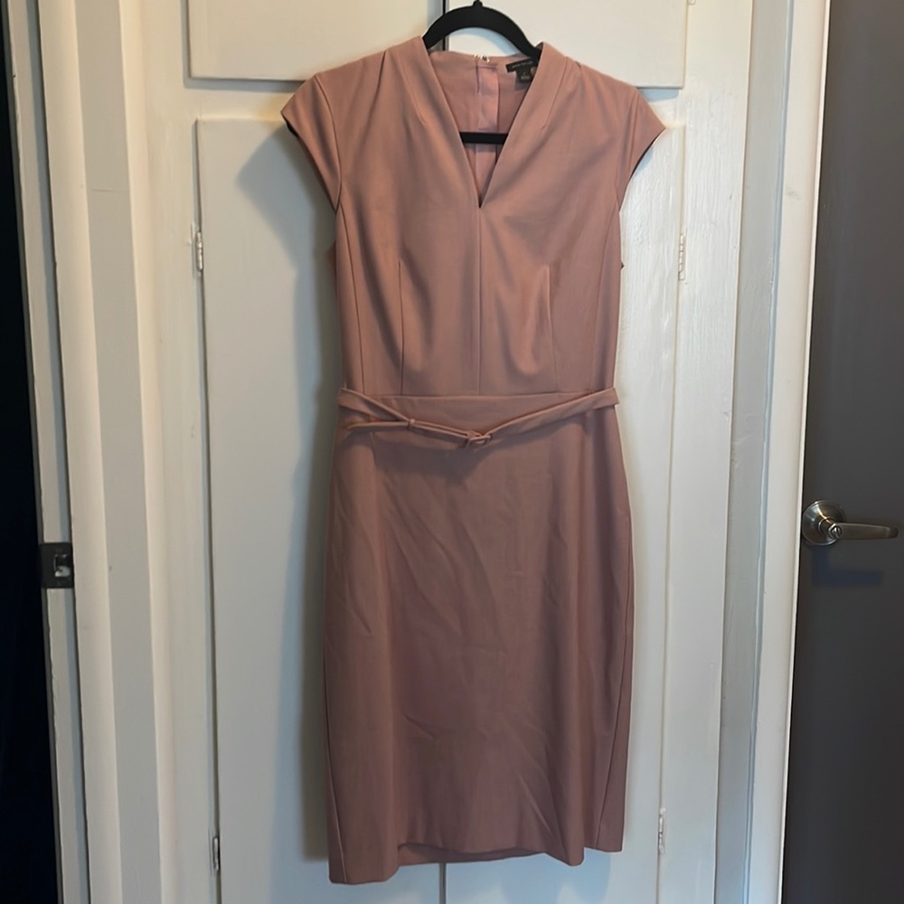 Pink never work Ann Taylor professional dress.
